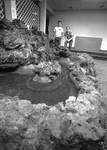 Fish Pond by George Fox University Archives