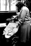 Ironing and Installing Drapes in an Office by George Fox University Archives