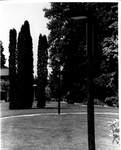 Campus Scene by George Fox University Archives