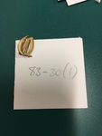 Gold Q Lapel Pin by George Fox University Archives