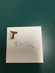 Gold T Lapel Pin by George Fox University Archives