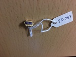 Fraternity Lapel Pin by George Fox University Archives