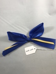 Navy Blue Bow by George Fox University Archives