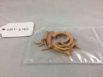 Starr-Edwards Heart Valve Pieces by George Fox University Archives