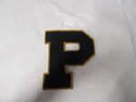 Athletic Letter (large P) by George Fox University Archives
