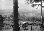View from Chehalem Mountain by George Fox University Archives