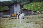 Sam Williams on the Arthur & Patsy Perisho property, Talent, OR, Summer 1975 by Earl Warren Perisho